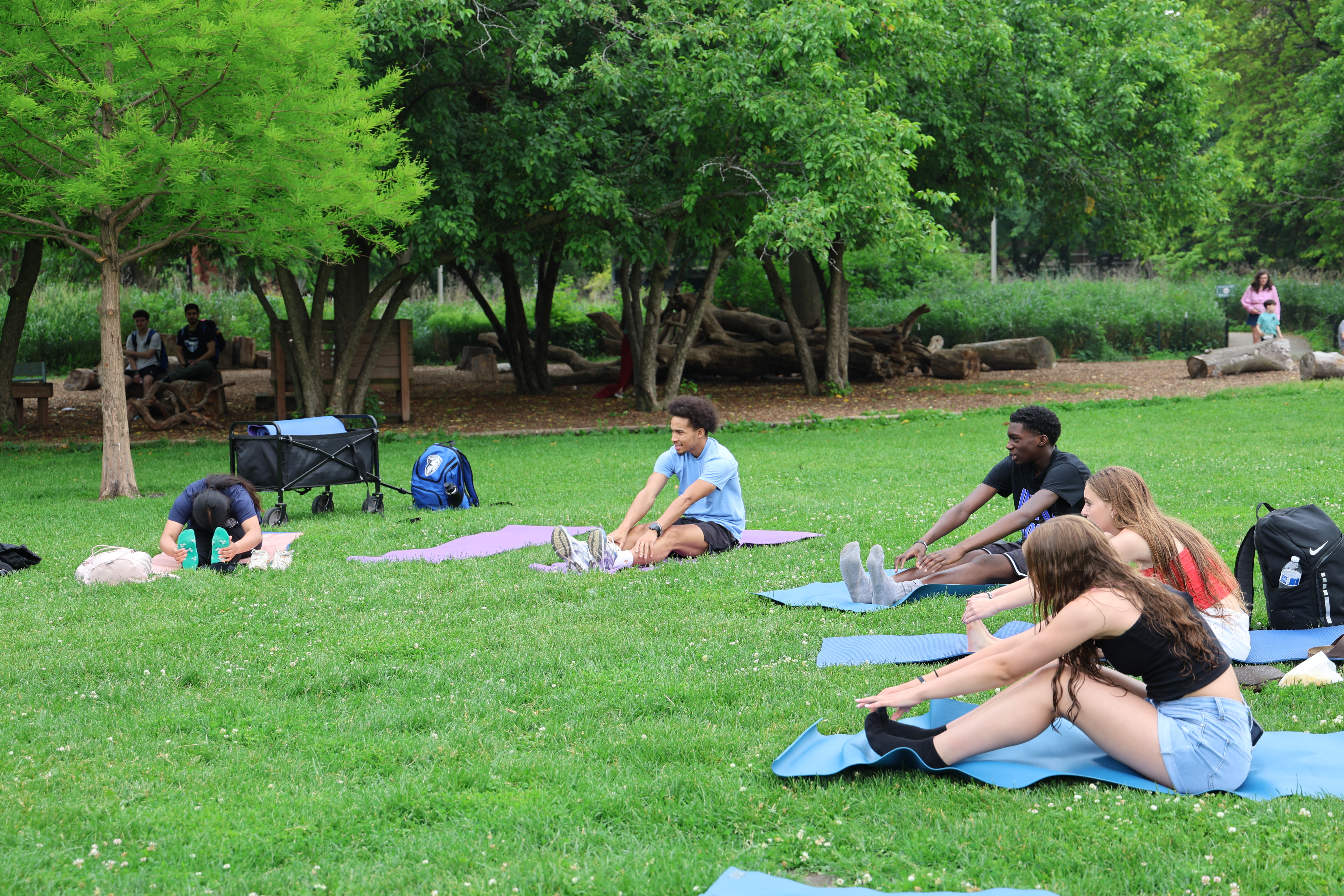 People stretch on yoga mats in a grassy park.